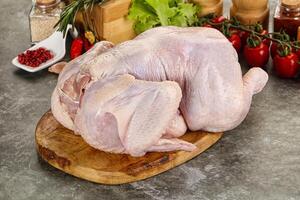 Raw whole chicken for cooking photo