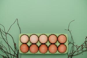 Green carton of eggs with spring tree branches. Easter background photo