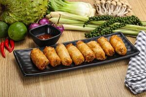 Vietnamese cuisine fried spring roll photo