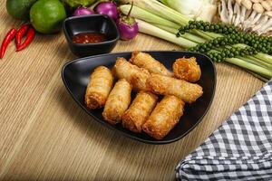 Vietnamese cuisine fried spring roll photo