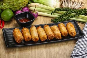 Vietnamese cuisine fried spring roll photo