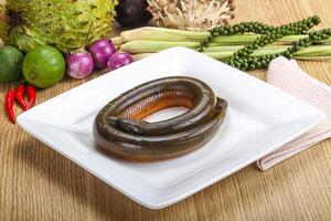 Fresh raw uncooked eel for grill photo