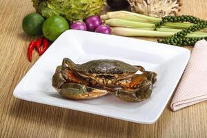 Delicous fresh raw uncooked crab photo