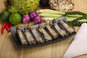 Raw fresh Razor clam mollusk photo