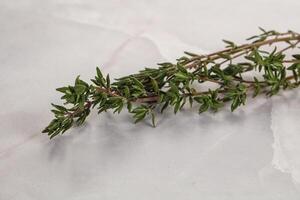 tomillo - aromático Condimento herbario planta foto