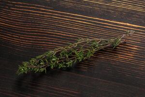 Thyme - aromatic seasoning herbal plant photo