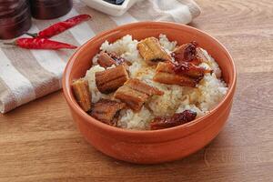 Roasred eel with steamed rice photo