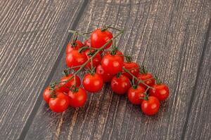 Ripe sweet Cherry tomato branch photo