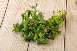 Green coriander leaves herb heap photo