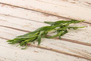 Green tarragon herb spice for cooking photo