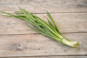 Raw young green onion heap photo