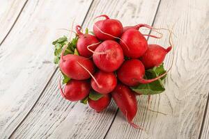 Heap ripe fresh red radish photo