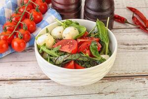 Mix salad with mozzarella and tomato photo