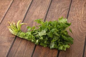 Green coriander leaves herb heap photo