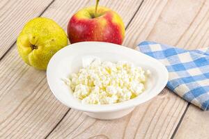 Organic cottage cheese in the bowl photo