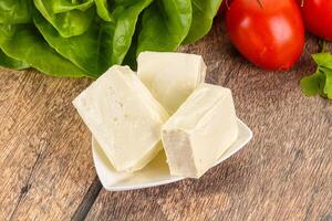 Greek traditional Feta cheese in the plate photo