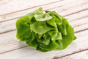 Salad leaves heap for snack photo