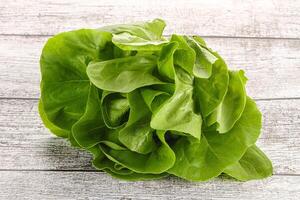 Salad leaves heap for snack photo