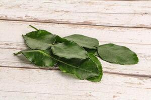 Aroma seasoning kaffir lime leaves photo