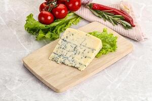 gastrónomo azul queso con molde foto