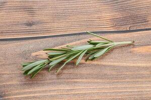 Rosemary branch - organic spicy herb photo