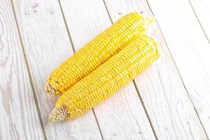 Sweet yellow raw corn cob photo