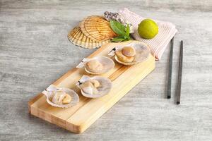 Raw natural scallop in its shell photo