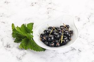 Juicy black currant berries in the bowl photo