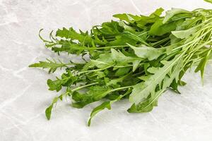 Fresh tasty natural organic rucola photo