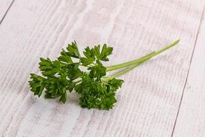 Green parsley leaves heap isolated photo