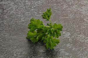 Green parsley leaves heap isolated photo