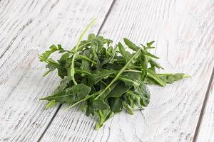 Green Arugula heap over background photo