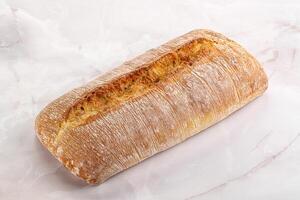 Italian ciabatta bread fresh and crust photo