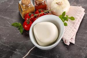 Italian cheese mozzarella buffalo ball photo