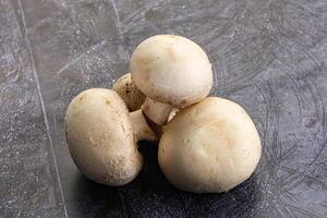 Natural organic ripe champignon mushrooms photo