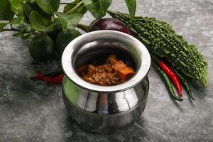Indian cuisine - homemade mutter paneer photo