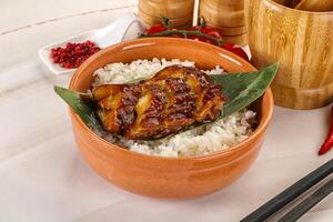 Grilled eel with steamed rice photo