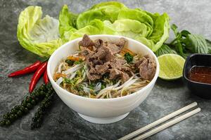 vietnamita tradicional sopa pho bo con carne de vaca foto