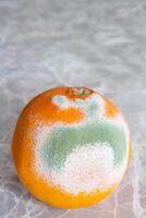 Moldy orange fruit on table. Mildew covered food. Concept of wasting food. photo