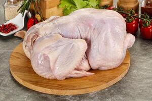 Raw whole chicken for cooking photo