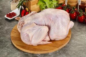 Raw whole chicken for cooking photo