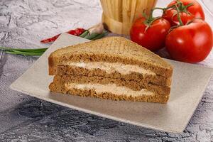 Club sandwich with Tuna fish photo