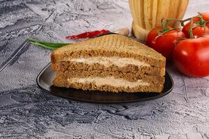 Club sandwich with Tuna fish photo