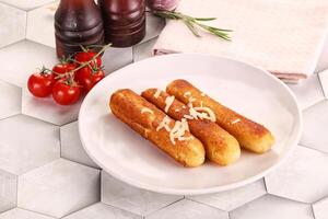 Fried cheese sticks for snack photo