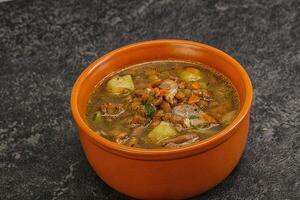 Lentil soup with chicken and vegetables photo