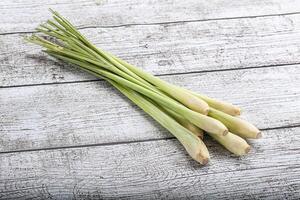 Lemongrass - Asian aroma plant for cooking photo