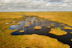 An aerial view of an autumn bog in Yelnya, Belarus, autumn. Ecosystems ecological problems climate change photo
