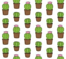 Vector seamless pattern of hand drawn cactus