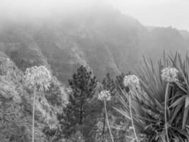 the island of Madeira photo