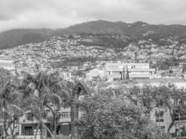 la isla de madeira foto